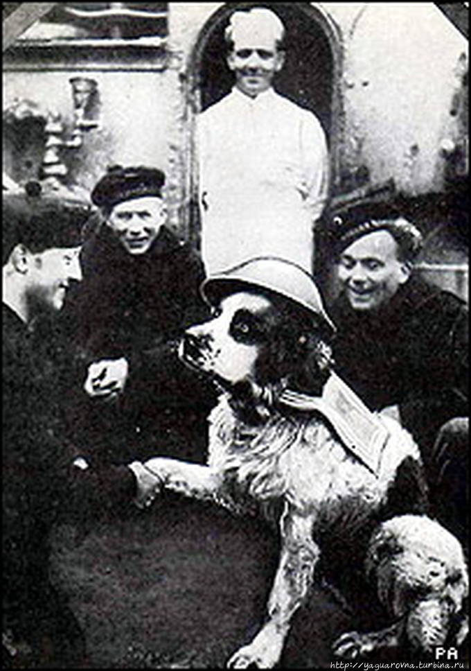 фото из интернета