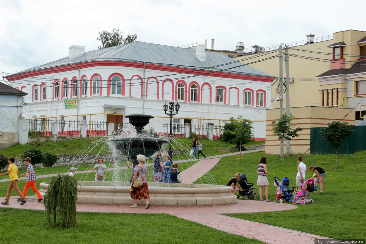 Павловский лимон Павлово, Россия