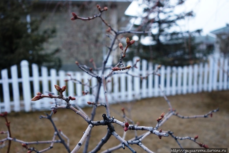 Центр отдыха «Карвен Четыре Сезона» Сары-Ой, Киргизия