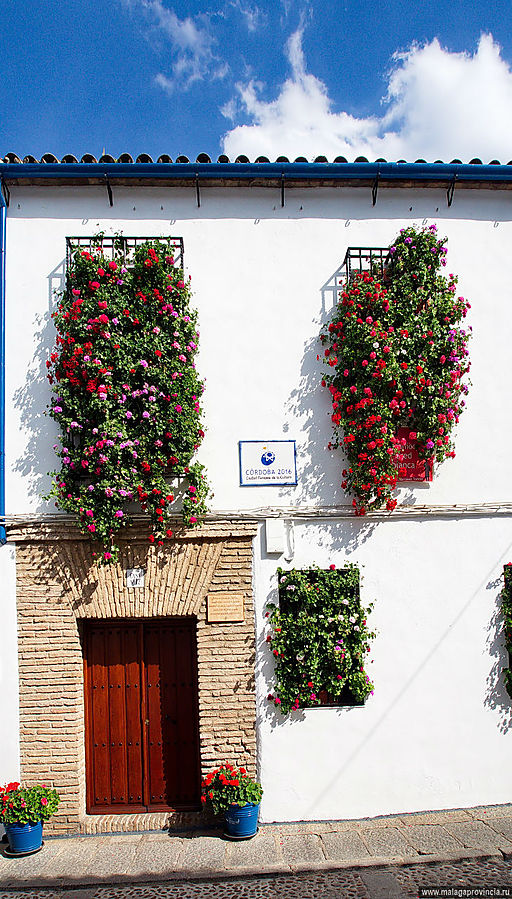 Знаменитые внутренние дворики Кордобы. Patios de Córdoba Кордова, Испания