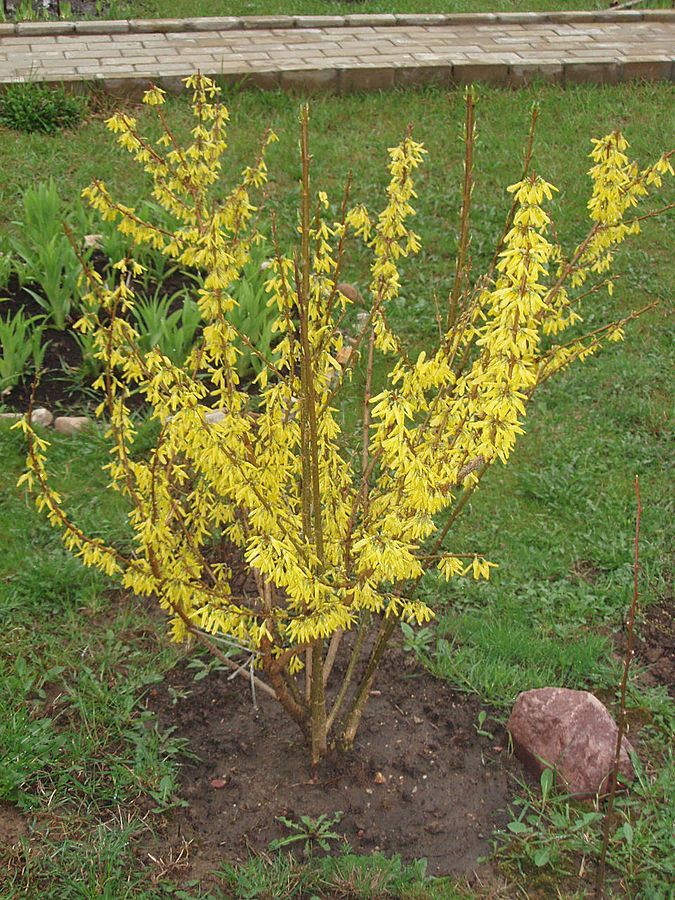 Девочки! Весна! Москва, Россия