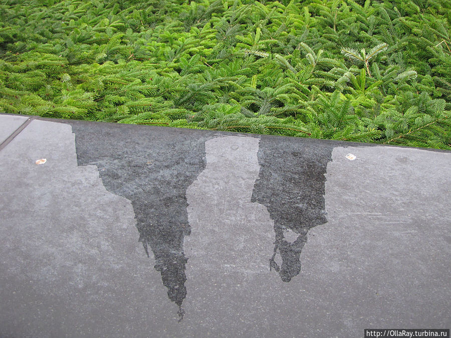 На зиму фонтан заложен еловым лапником — то ли в целях  сохранности, то ли в связи с зимними праздниками.