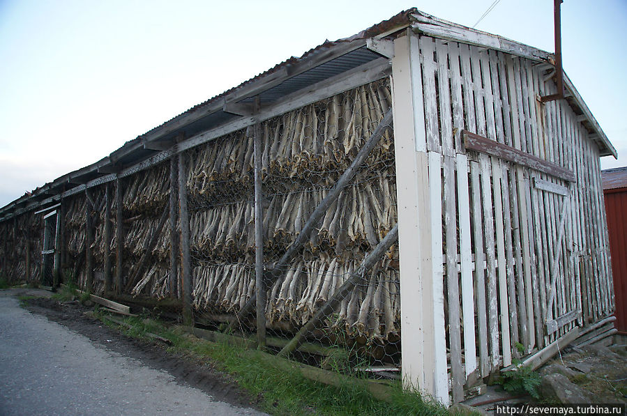 A-Hamna Rorbuer Сёрвоген, Норвегия