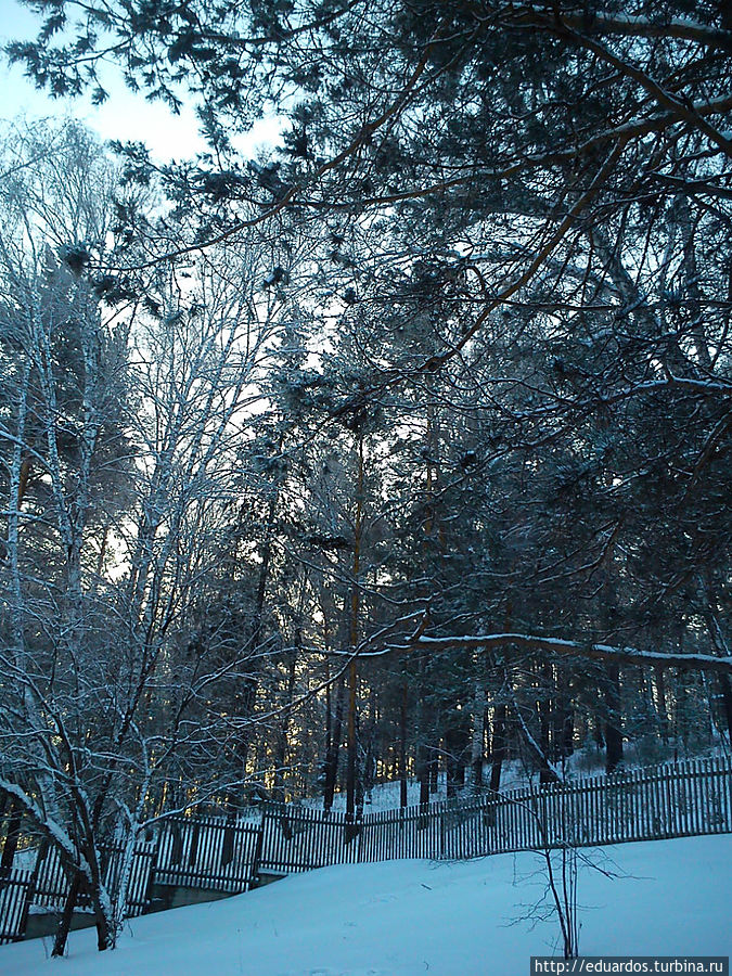 С наступившим вас 2013 !!!