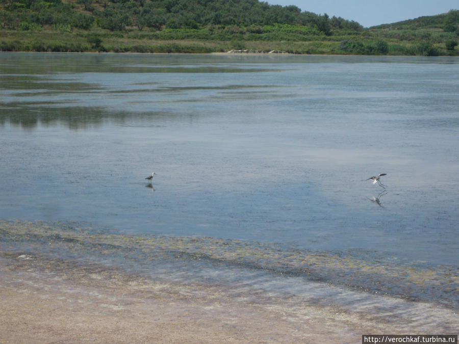 Отдых вчетвером на Албанской Ривьере Албания
