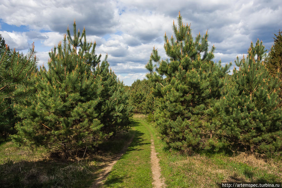 Незнакомая Беларусь Беларусь