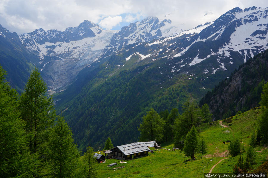 Швейцарские Альпы Швейцария