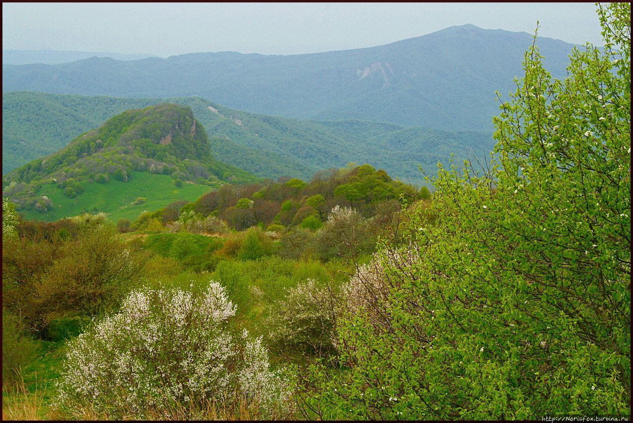 Горный перевал на пути в Кахетию Грузия