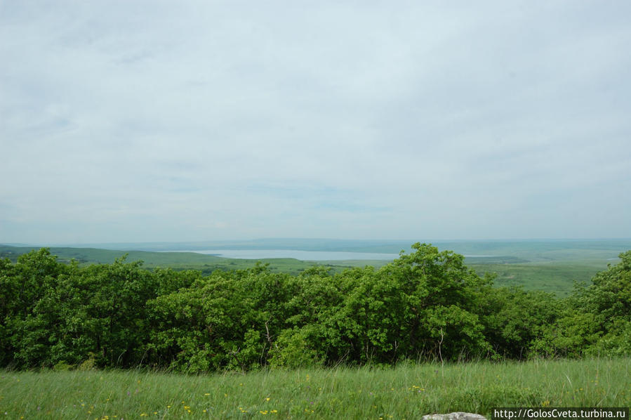 Поход на бучинку