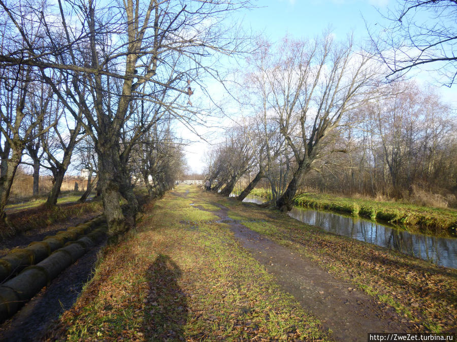 Луговой парк Петергоф, Россия