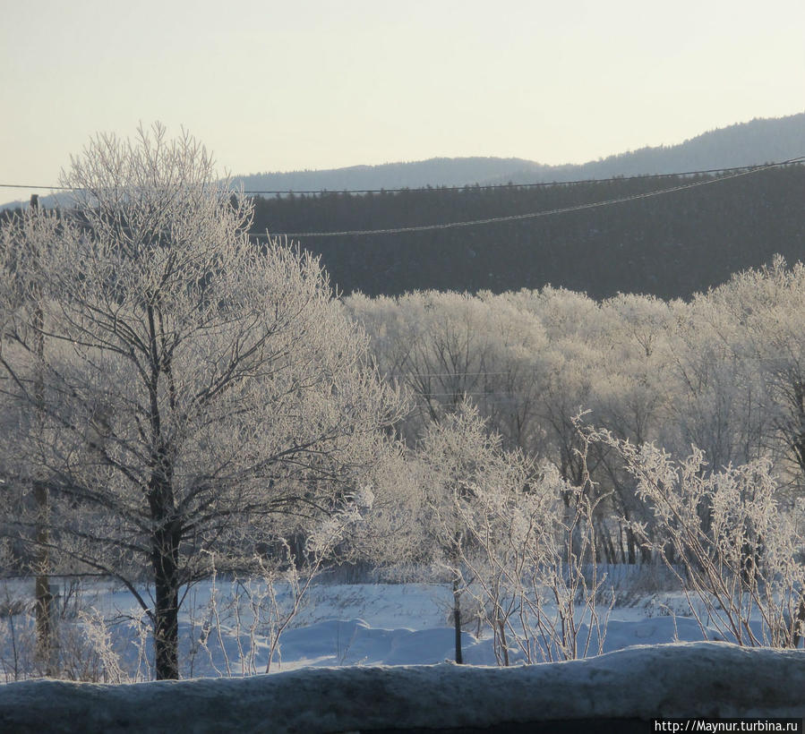 В  поисках    весны... Южно-Сахалинск, Россия