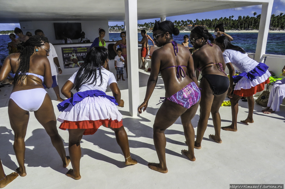 Dominican Republic Escort Services