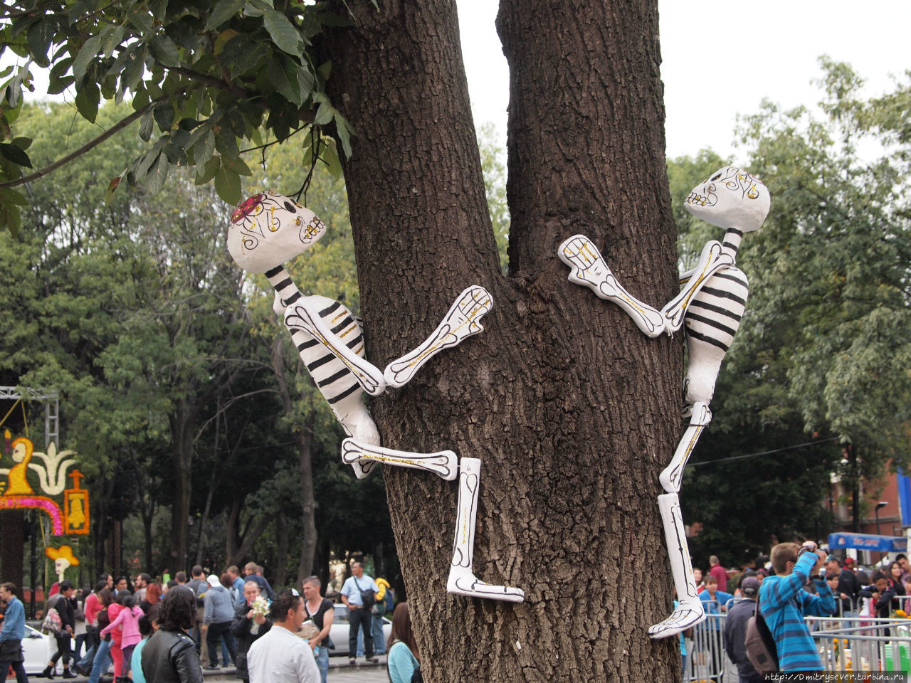Скелеты в самых неожиданных местах Мексика