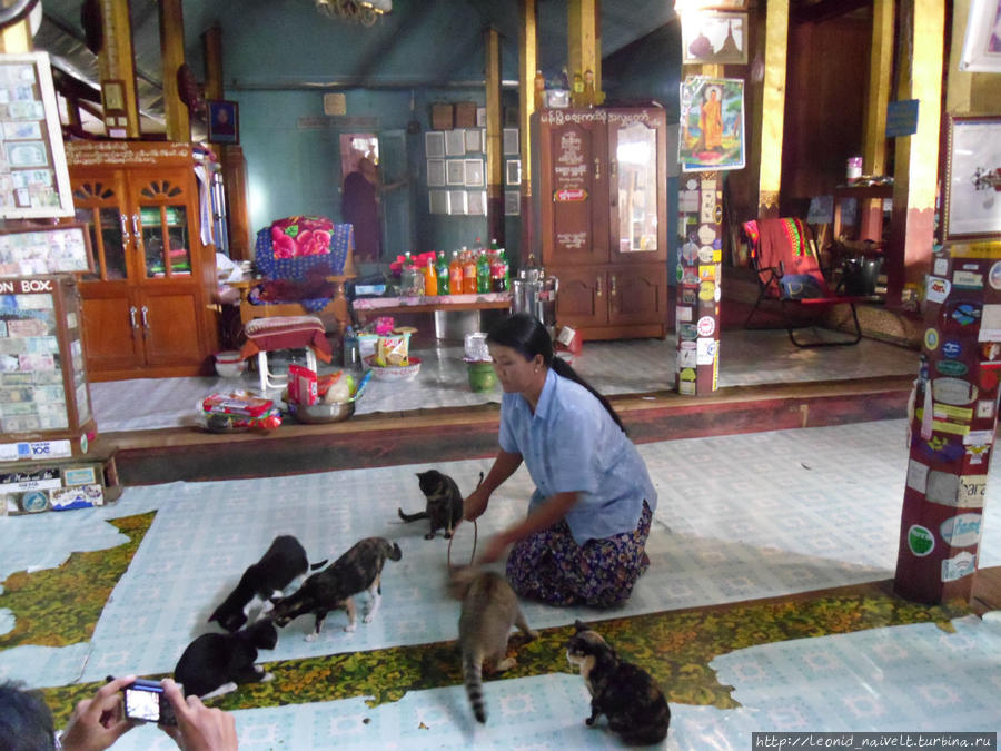 Мьянма. Страна лишних дней. Часть 5. Кошки и золотые колобки Озеро Инле, Мьянма