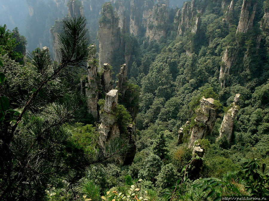 Пики Тяньцзышань Чжанцзяцзе Национальный Лесной Парк (Парк Аватар), Китай