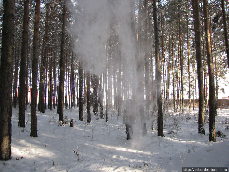 Оттепель в зимнем лесу... Красноярск, Россия