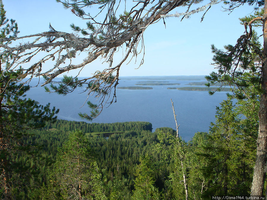 А с другой стороны на озеро Пиелинен Коли Национальный Парк, Финляндия