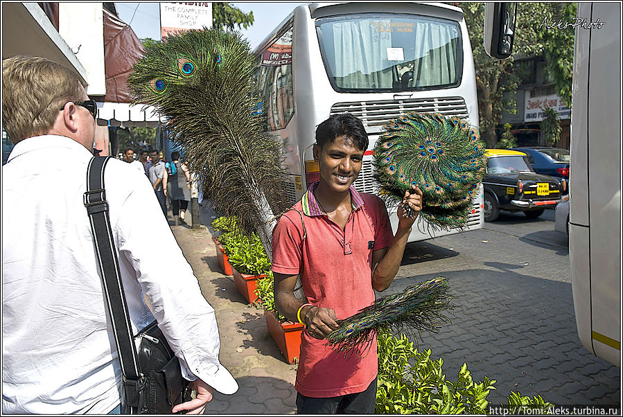 Перья павлина — хороший товар в людном туристическом месте...
* Мумбаи, Индия