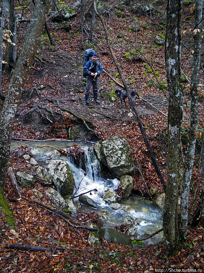 наш старшой Паша со своей собакой
