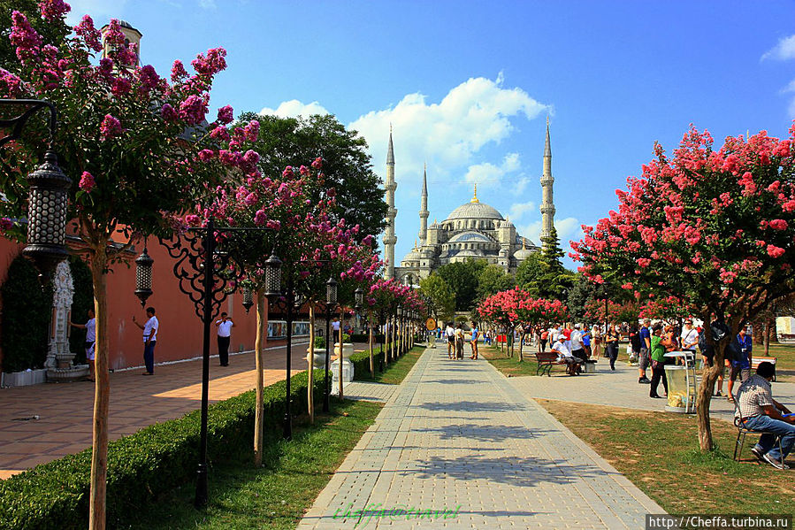 Стамбул, первый день — Европа Стамбул, Турция