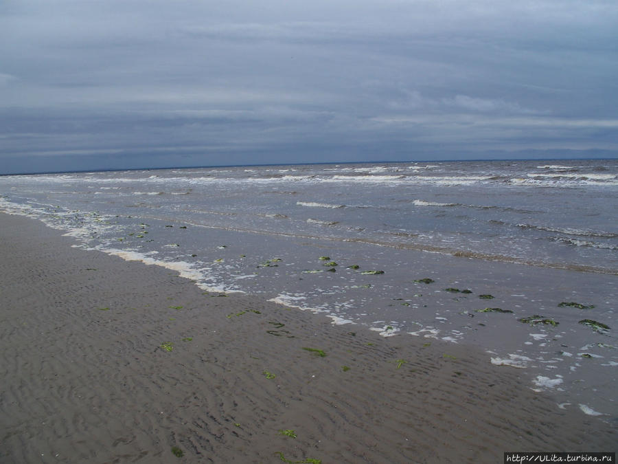 Белое море, Летний берег, Северодвинск Архангельская область, Россия