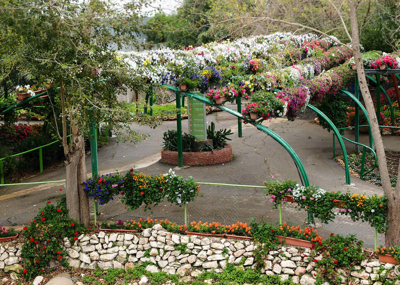 Парк Утопия Бахан, Израиль