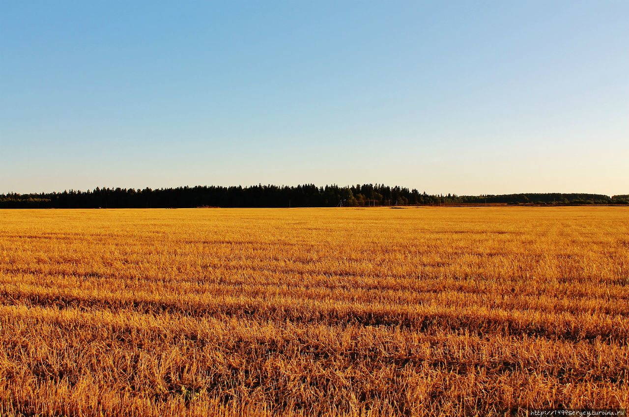 Воспоминания #3 Санкт-Петербург и Ленинградская область, Россия