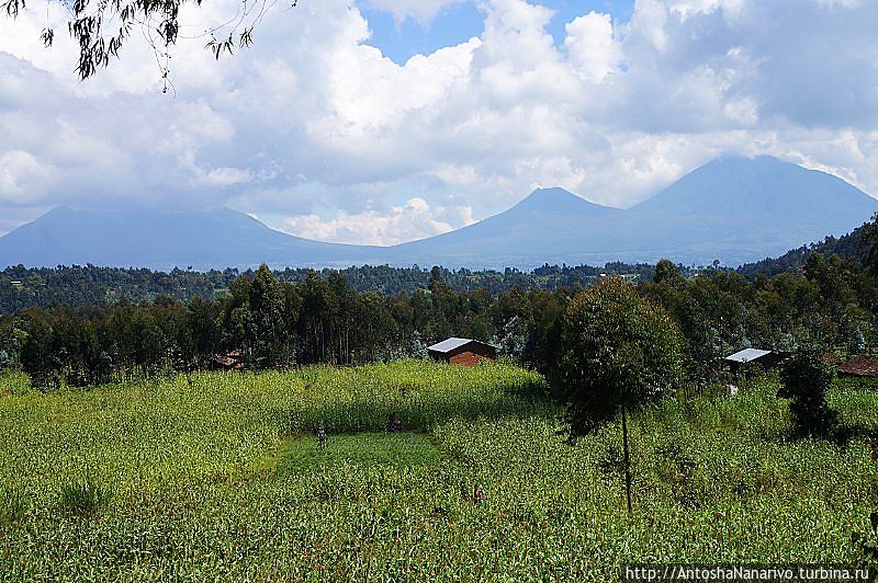 Слева добавился Сабьиньо Северная провинция, Руанда