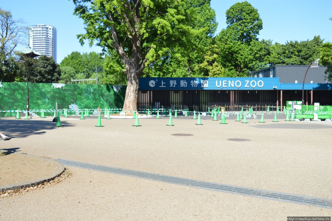 Зоопарк Уэно Токио, Япония