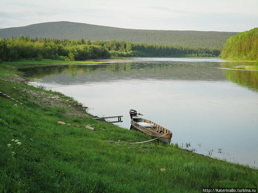 Очень раннее утро на третьем кордоне Усть-Ляга. 4 часа. Так рано я ещё не поднималась. Но оно того стоило!