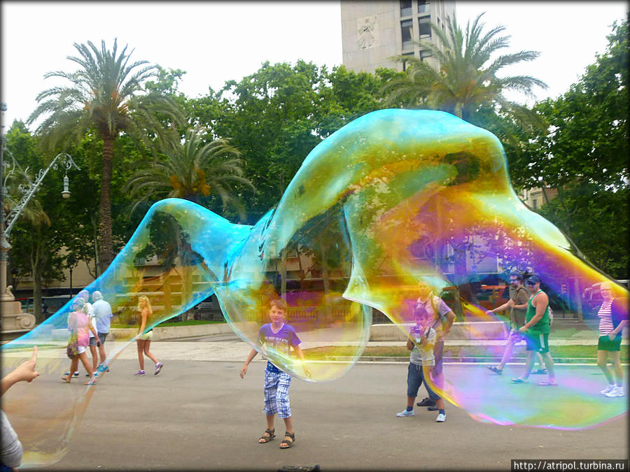 ИТОГИ  НЕДЕЛИ  —  ФОТОКОНКУРС