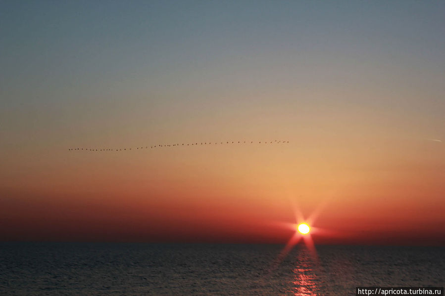 к концу марта Сочи провожал меня уже закатами