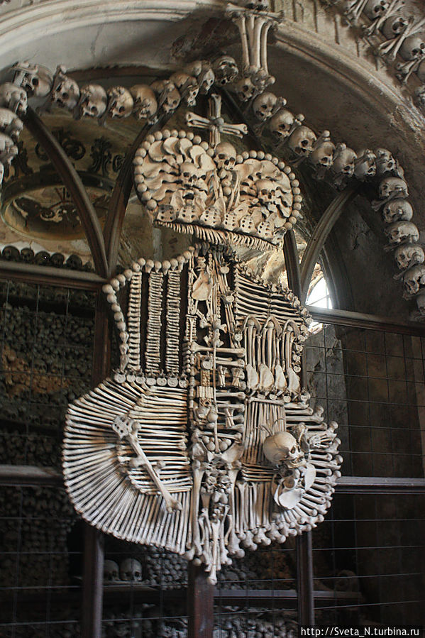 Герб Шварценбергов