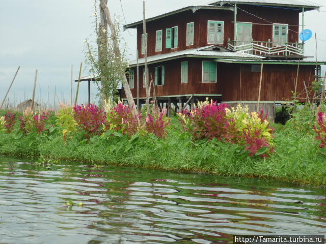 Озеро Инле и подставные падаунги Озеро Инле, Мьянма