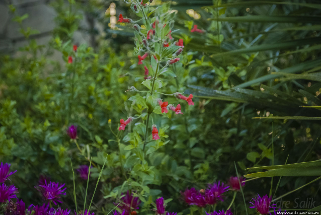 В мае на море Ситжес, Испания