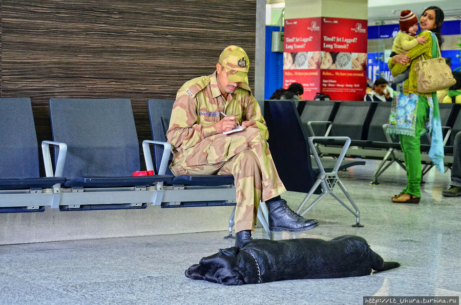Дели. Аэропорт Дели, Индия