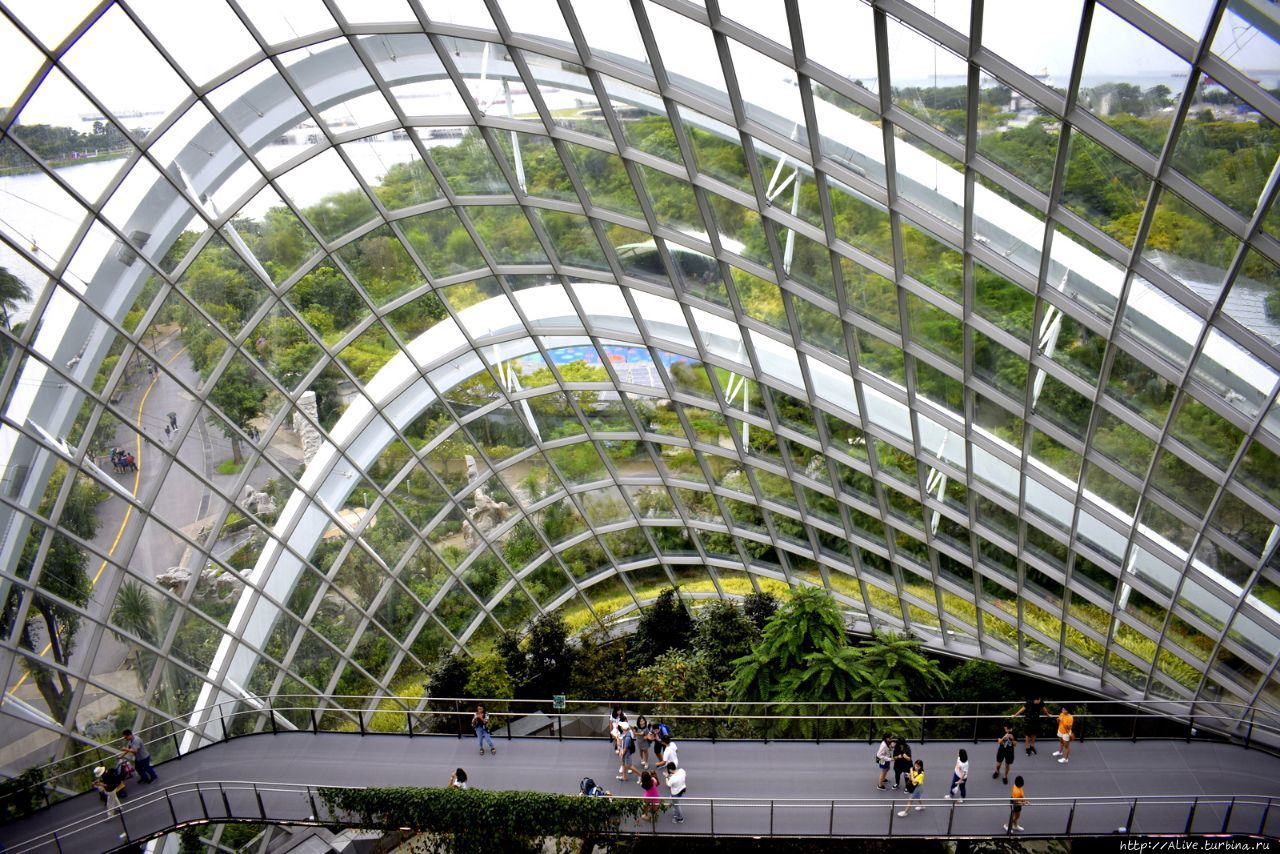 Сингапур – наше зелёное будущее
