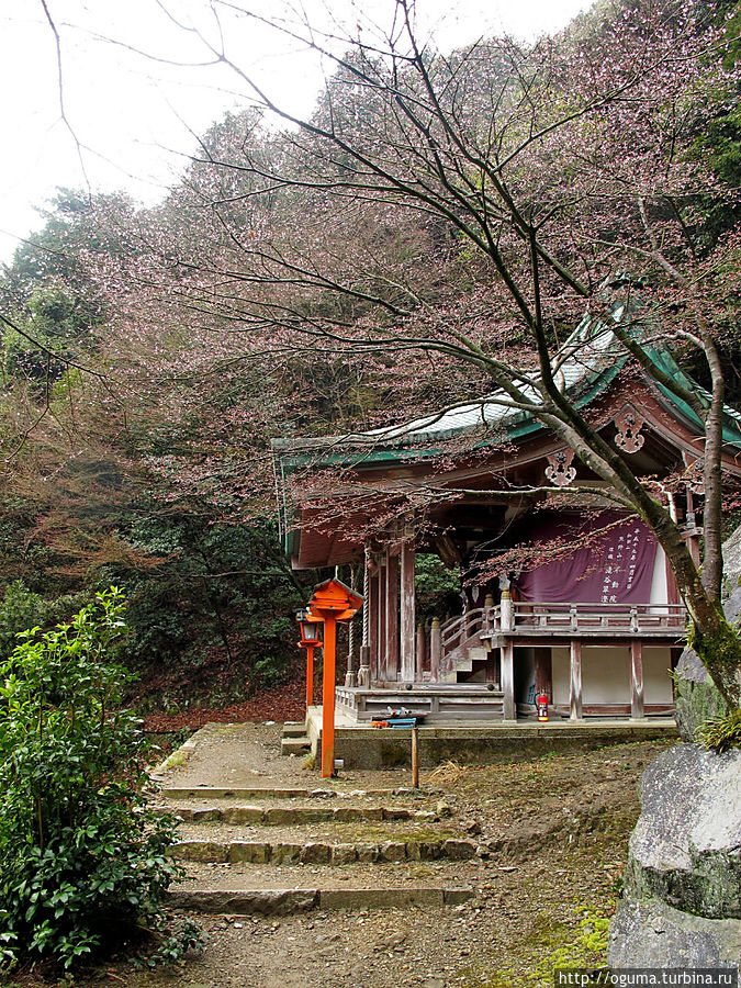 Один из храмов наверху. На фото не видно, но слева от него гора резко обрыватся вниз и по сути, от его ступенек открываеется прекрасный вид на низину Киото, Япония