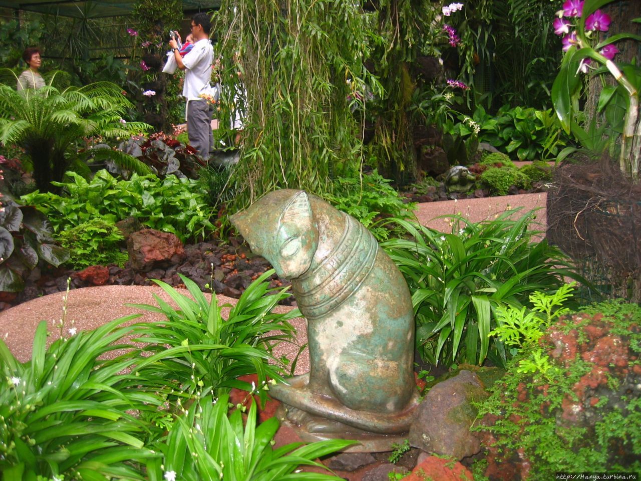 Ботанический сад Сингапура Сингапур (столица), Сингапур (город-государство)