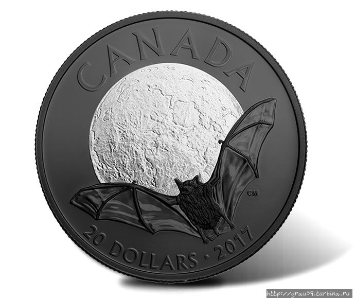 (Из Интернета) CША