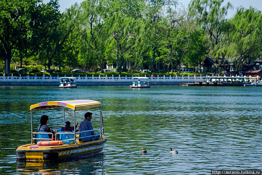 Обычный день в пекинском парке Пекин, Китай
