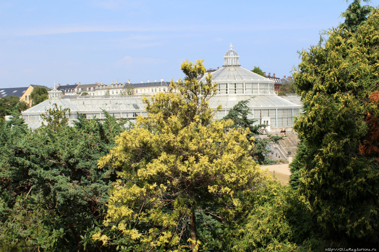 Сад является частью Датского музея естественной истории. Здесь видны  оранжереи. Копенгаген, Дания