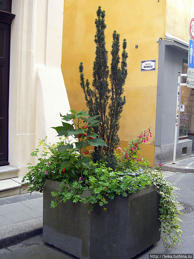 Особенный город Люксембург, Люксембург