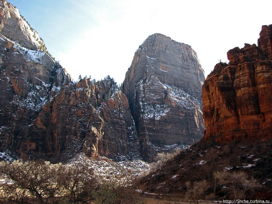 Погружение в каньон Зион. Zion Canyon Scenic Drive Национальный парк Зион, CША