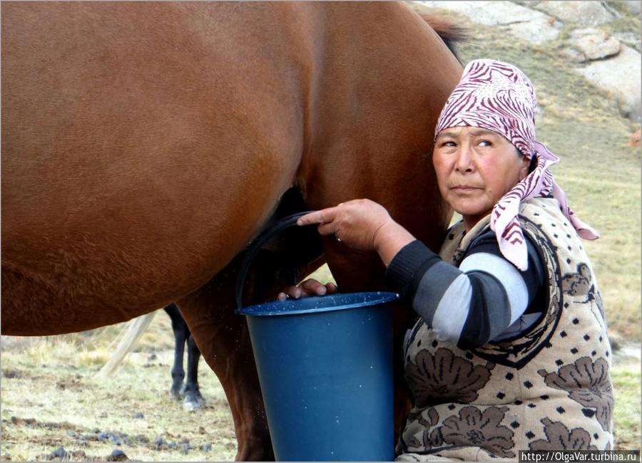 А кумыс так и не попробовала, опасаясь за свой желудок Озеро Сон-Куль, Киргизия