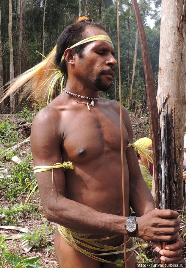 Коровайский мужчина-воин Джайпура, Индонезия