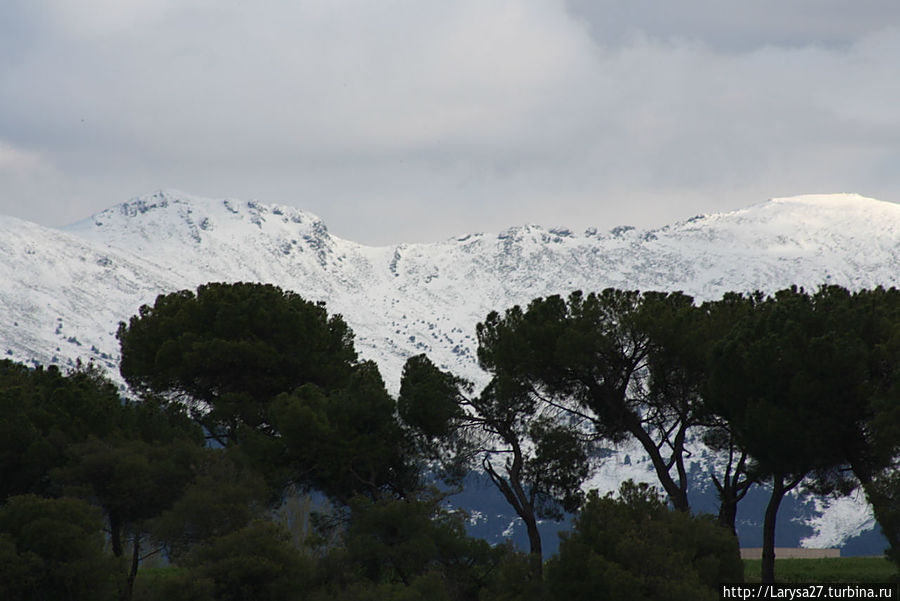 Вид на окрестности со стен Алькасара