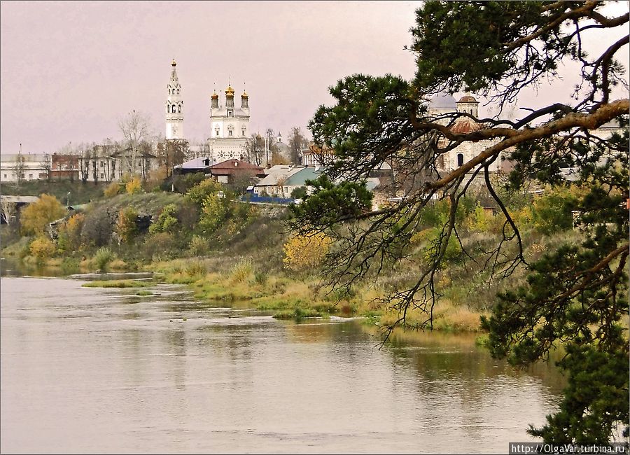 Калина свердловская область
