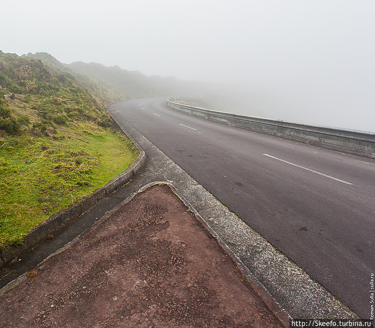 Дорога в молоко.