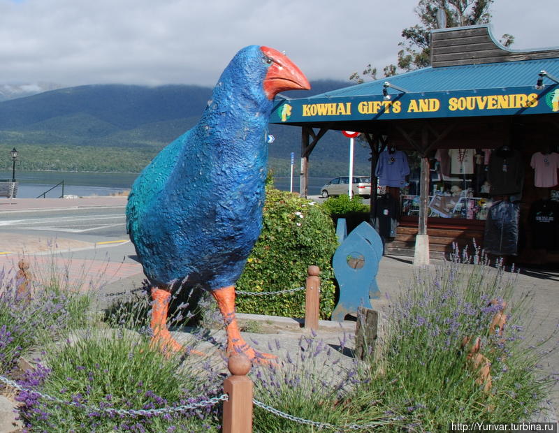 Памятник птице Такахе Фьордленд Национальный Парк, Новая Зеландия